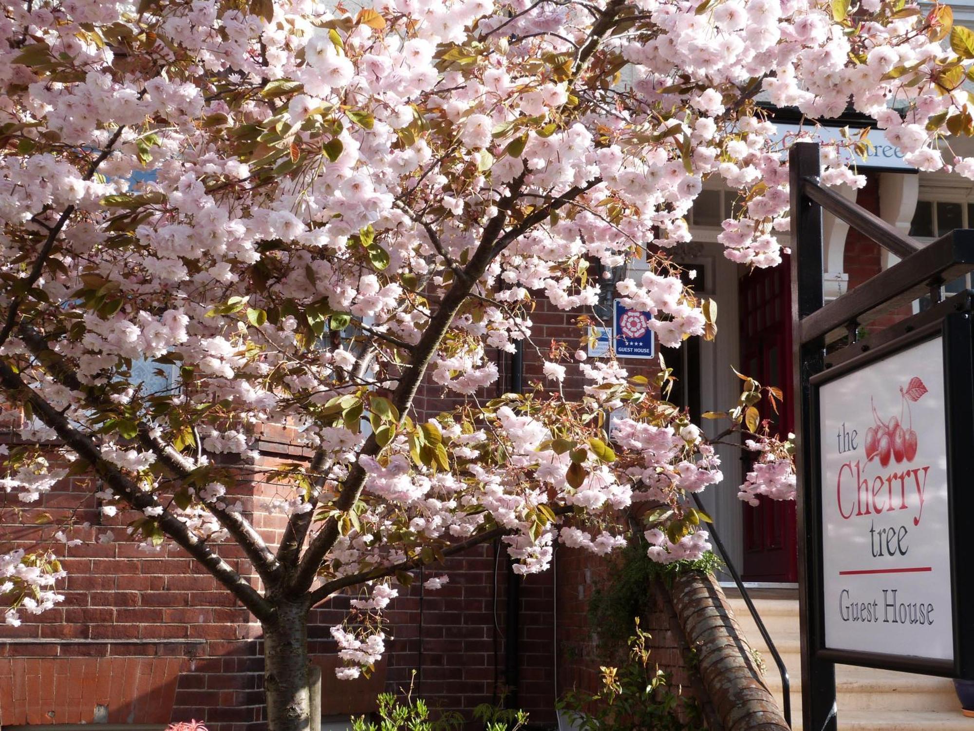 The Cherry Tree Guest House Eastbourne Exterior foto