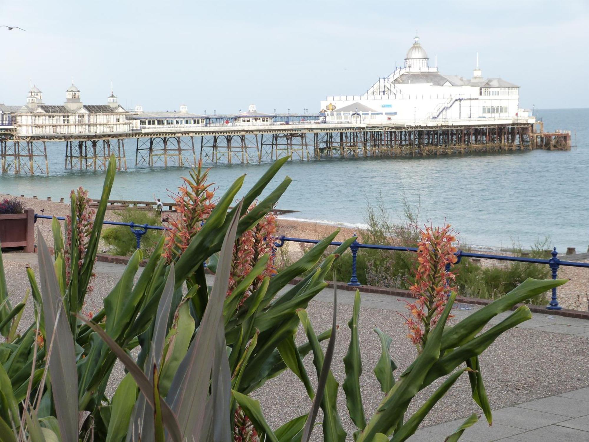 The Cherry Tree Guest House Eastbourne Exterior foto